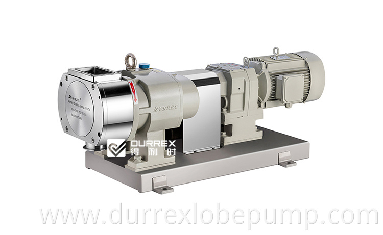 Bean-paste Transfer Pump